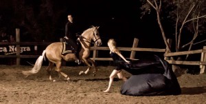 2016,CAVALLO,PIACENZA (1).jpg